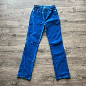 Vintage DG2 by Diane Gilman Blue Pants